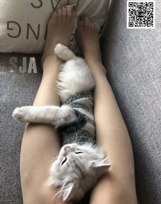 名侦探柯南百万