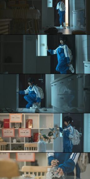 渡渡鸟