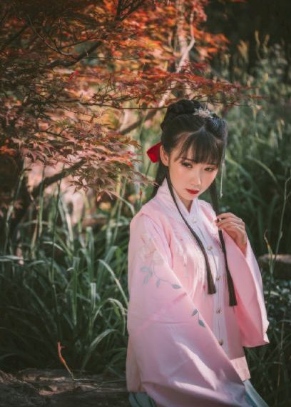 电视剧玫瑰故事免费观看