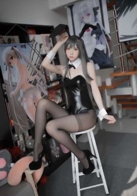 执行法官电视剧免费观看