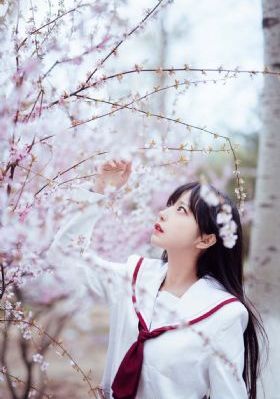 镇国神婿完整版